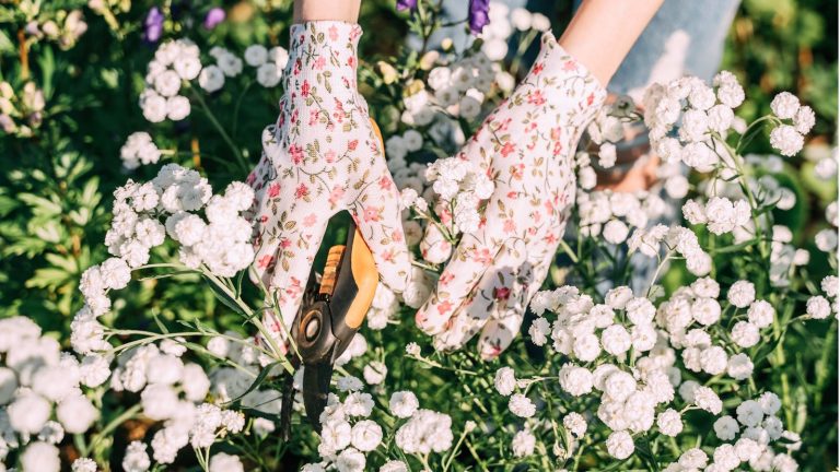 White floral gardening gloves pruning white blooms