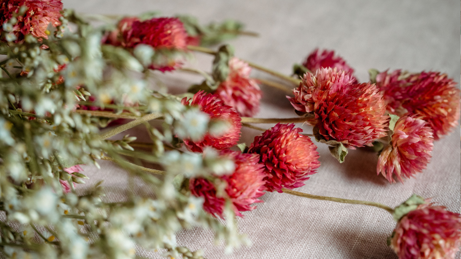 Pétales et racines : les corsages de fleurs éternelles sont parfaits pour les mariages d’hiver, et j’ai une astuce pour les porter qui n’endommagera pas vos vêtements Dried pink globe amaranth and white limonium on pink linen background