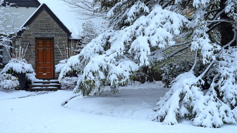 C’est un hiver de violentes tempêtes de neige, mais les acheteurs disent que ces tapis fondants compacts permettent d’économiser du temps, de l’argent et des efforts pour nettoyer les chemins et les escaliers du porche. Snow on front yard path and porch stairs. Large pine tree next to it also covered in snow