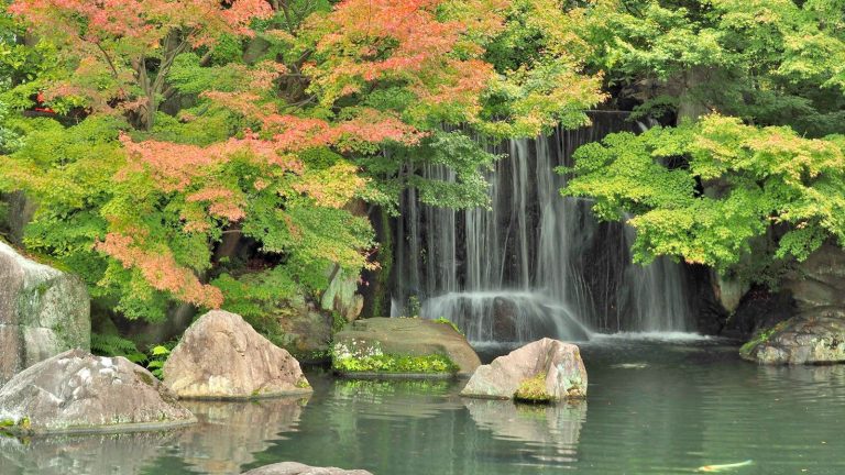 Les professionnels du jardin disent que cette idée de conception japonaise est le secret d’un jardin plus calme et nécessitant moins d’efforts en 2026 Japanese maples, autumn, fall, waterfall