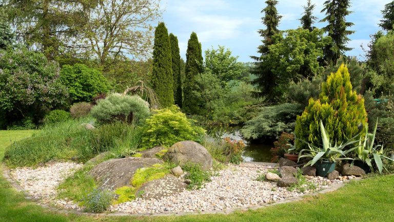 Ces 7 conifères à croissance rapide vous offrent rapidement une intimité – sans aucun jardinage nécessitant beaucoup d’entretien, disent les experts en arbres garden landscaping design with conifers, boulders, pond and gravel