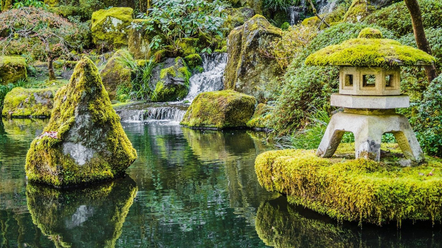 Japanese garden, Moss, stone lantern, pond, rocks