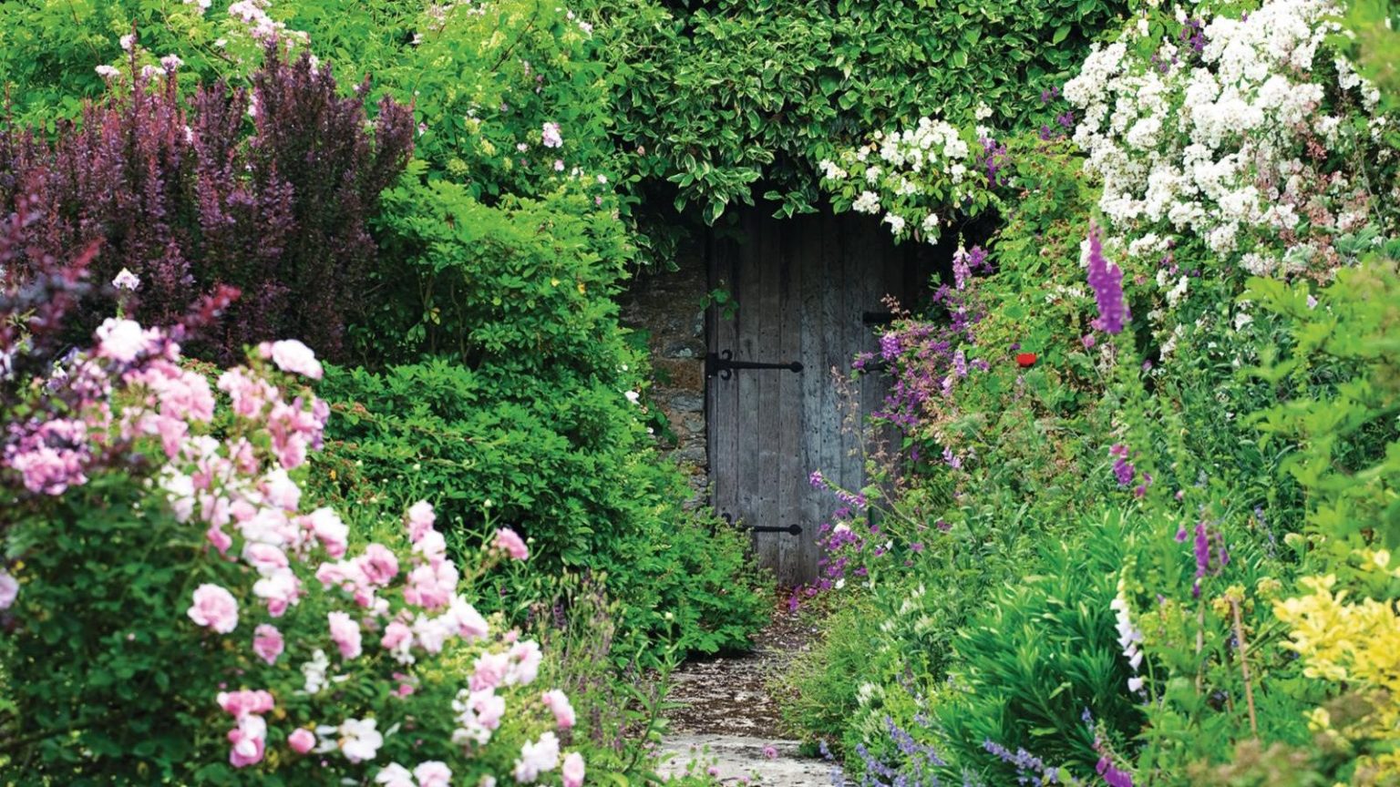 Compost fait maison ou acheté en magasin – Un expert affirme que les deux présentent des avantages, mais l’un d’entre eux est accompagné d’un avertissement Abundant, colorful garden borders lining a path that leads to a wooden gate