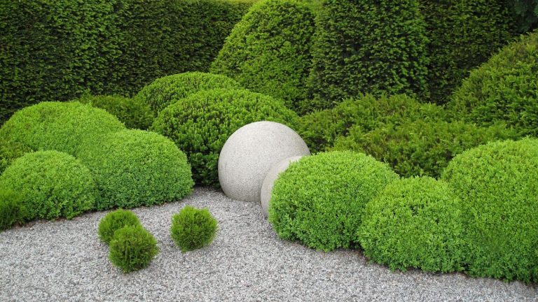 5 façons simples d’ajouter une structure à feuilles persistantes et un style toute l’année à votre cour Yew and box domes in an evergreen front garden