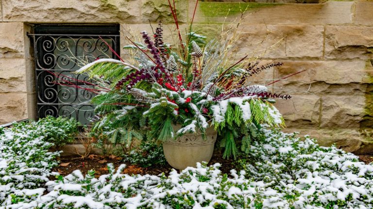 Arrêtez de remplacer les pots fissurés chaque printemps – Conseils d’experts pour les 5 meilleurs contenants antigel (plus ceux à éviter) Evergreen festive winter container in a snowy garden