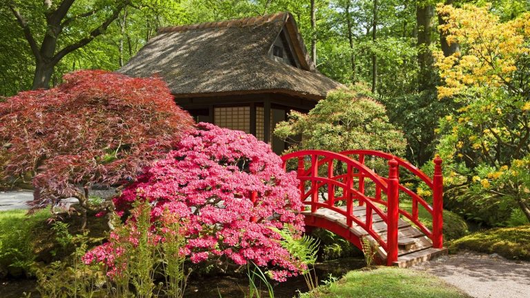 Cette tradition de jardin japonais peut transformer les espaces extérieurs en lieux de rituel, de pleine conscience et de calme, disent les concepteurs Japanese tea house, azalea, garden