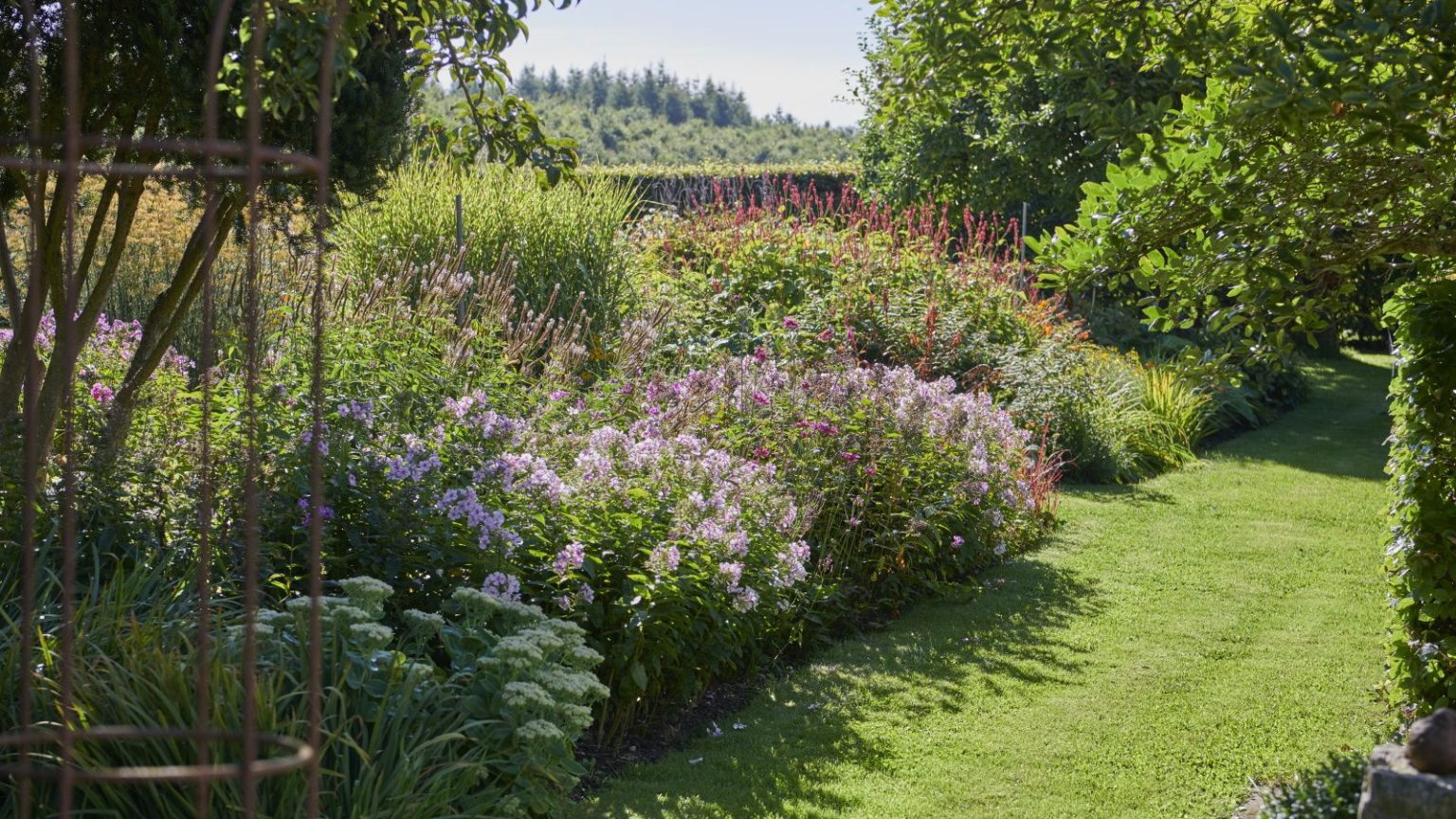 Ne vous inquiétez pas si un sol gelé ou gorgé d’eau ruine vos projets de plantation en hiver – C’est le moyen simple de garder les arbres et les arbustes en sécurité pour les planter un autre jour. Garden border with established shrubs in sunlight