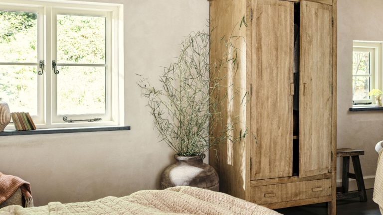 J’ai essayé la méthode de désencombrement du Lookbook d’influenceur pour repérer les « Space Hogs » dans les placards – cela a finalement brisé mon cycle d’encombrement A wooden freestanding closet in a cream bedroom, with a green spindly plant in a stone pot beside it.