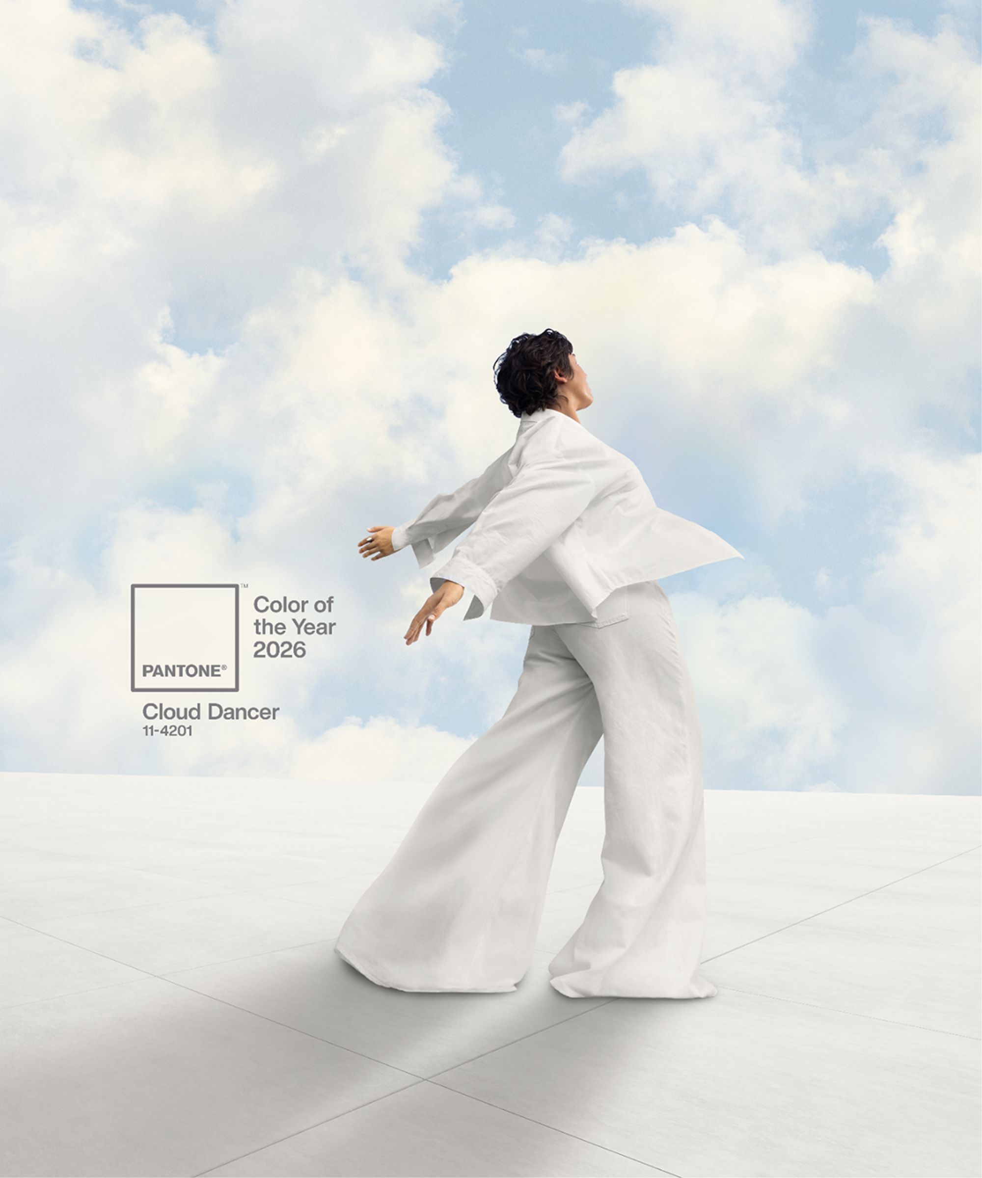 Couleur Pantone de l’année Cloud Dancer