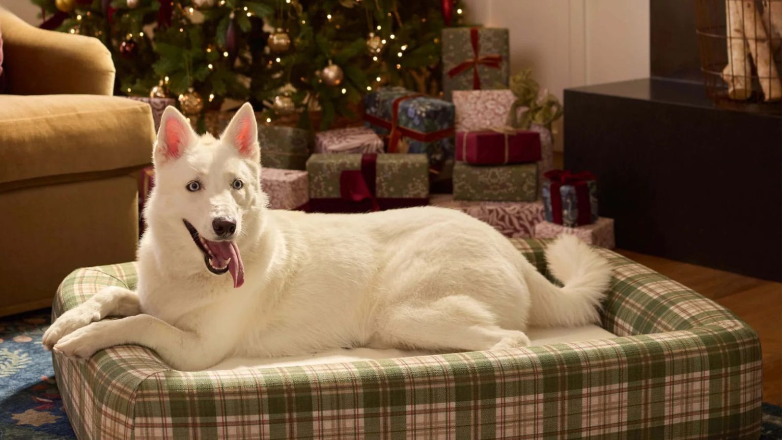 Ruggable pet beds