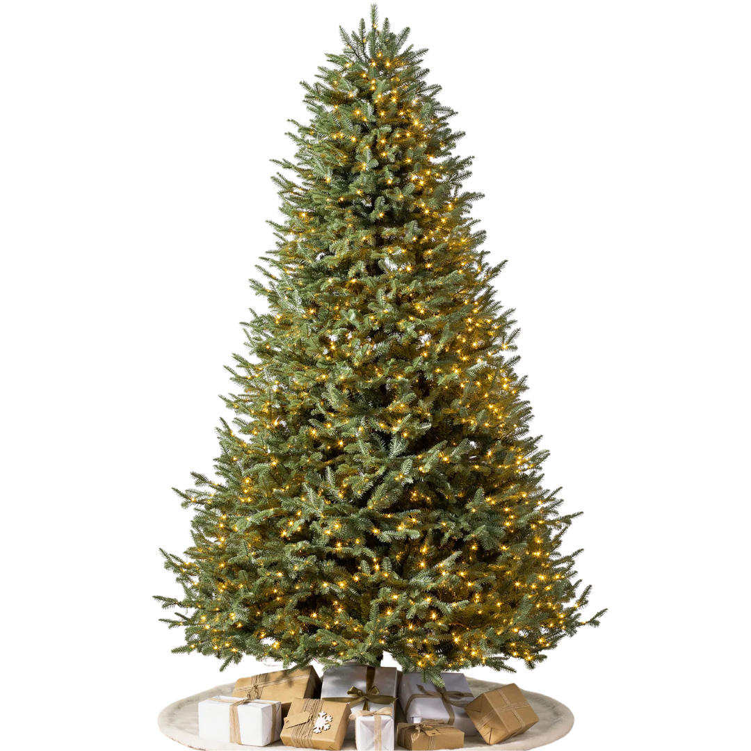 Colline Balsam, 5,5' Sapin baumier BH&reg; Arbre de Noël