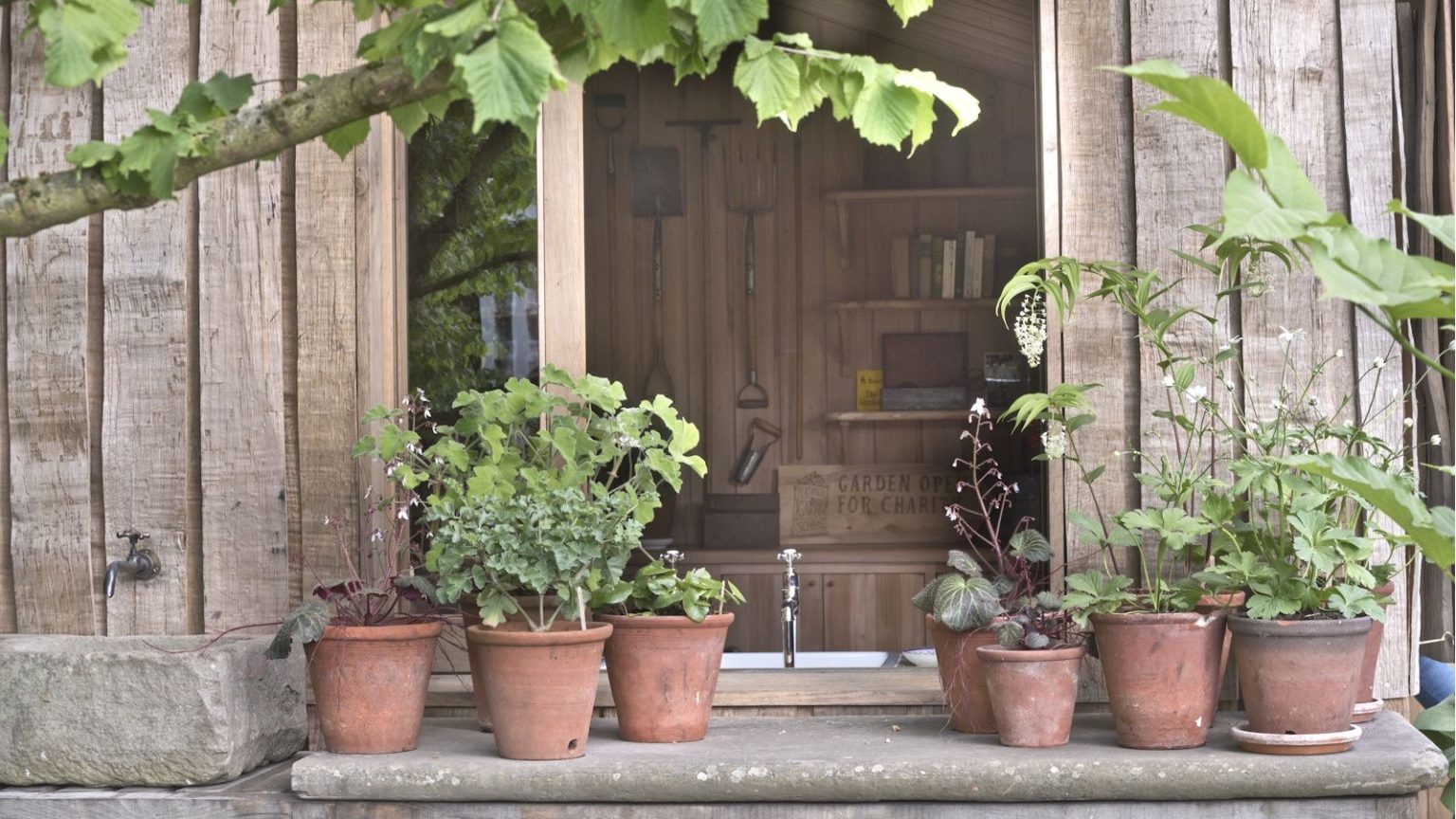 Il n’est pas rare que les plantes en pot tombent en panne en mai, mais vous pouvez les faire revivre rapidement en apportant ces simples changements Potting shed with a windowsill full of planted terracotta pots
