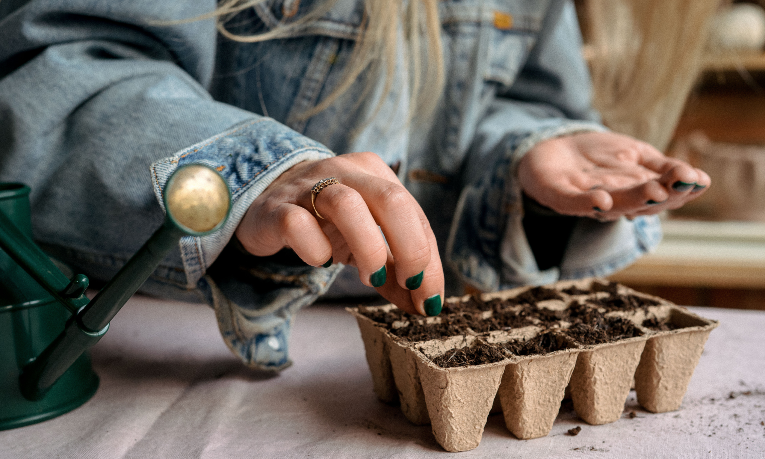 Pétales et racines : semer des graines de pavot d’Islande en janvier donnera à votre jardin de fleurs coupées une longueur d’avance au printemps hands sowing seeds into small cardboard seed tray