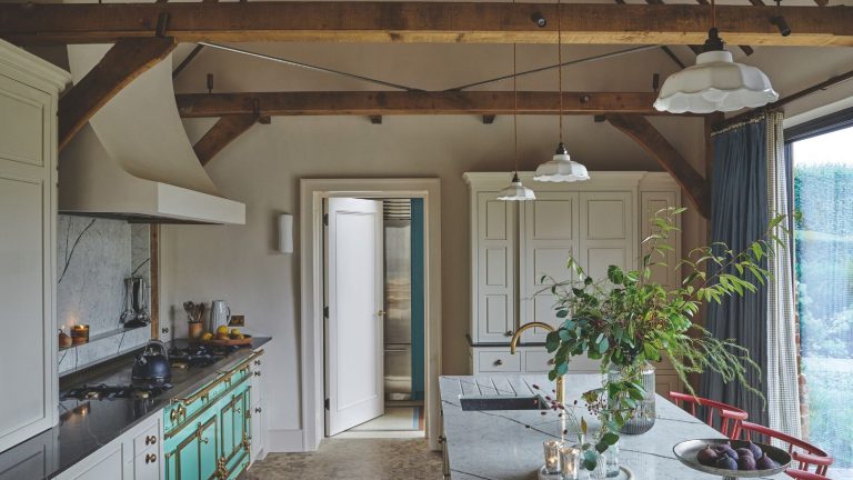 Ne cassez pas votre aspirateur avec la boue hivernale, les boues et le nettoyage après une tempête – Cet aspirateur portable Shark humide/sec est en vente et à la hauteur de la tâche. A modern fitted kitchen with an island, exposed beams under a pitched roof and large window. Plants and miscellaneous kitchen items are pictured on countertops, and a white cabinet and open door are pictured in background.