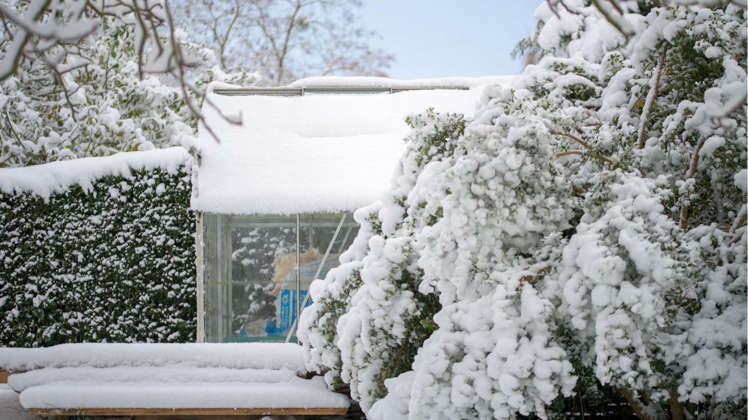 Votre serre pourrait s’effondrer si la neige n’est pas déneigée à temps – Voici comment le faire en toute sécurité et éviter les dommages Winter greenhouse with snow on roof