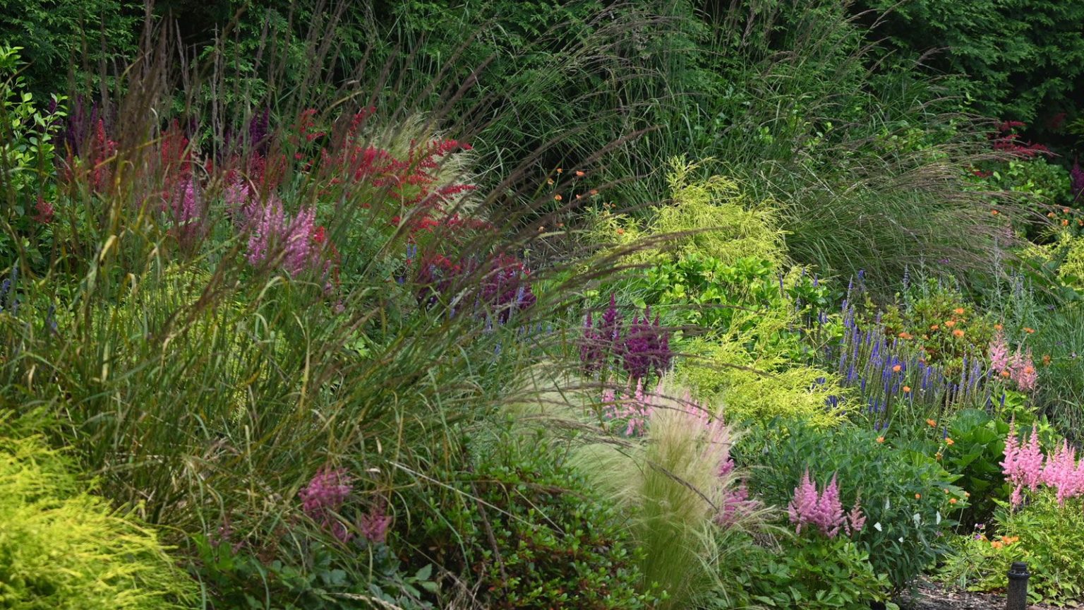 La plantation en mosaïque est la tendance des prairies organisées qui remplace les mélanges de fleurs sauvages peu fiables, disent les concepteurs de jardins naturalistic mosaic planting design with perennials and ornamental grasses