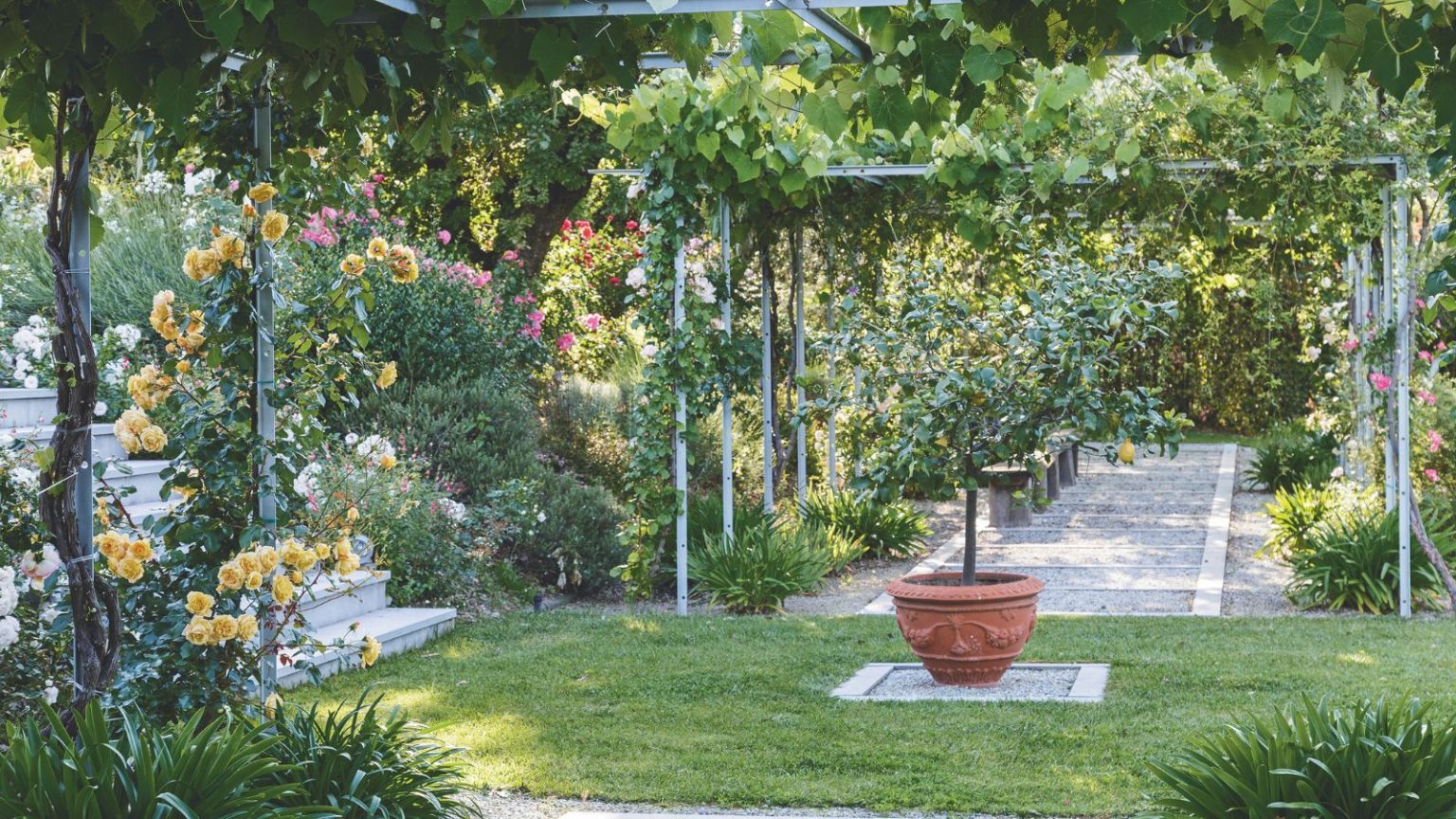 Si votre gazon semble encore inégal en mai, utilisez ce traitement de réparation rapide – vous aurez une pelouse luxuriante avant l’arrivée de l’été A bright and sunny garden with a green lawn, paved pathway, pathed staircase, and flowers growing up frames.