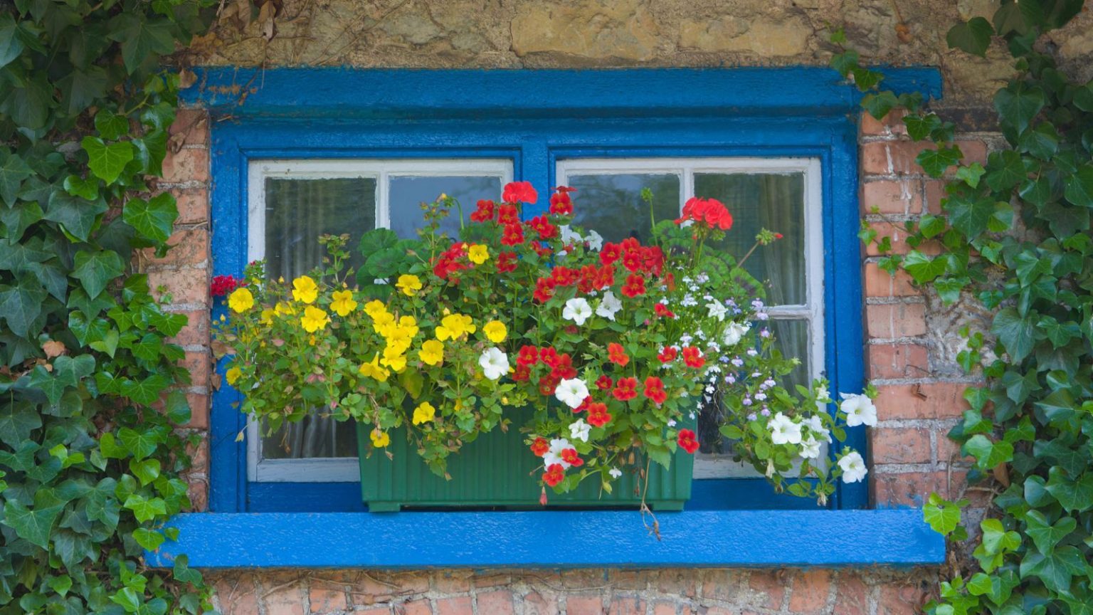 Blue painted window with ribbed green planter box