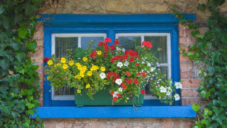 Blue painted window with ribbed green planter box