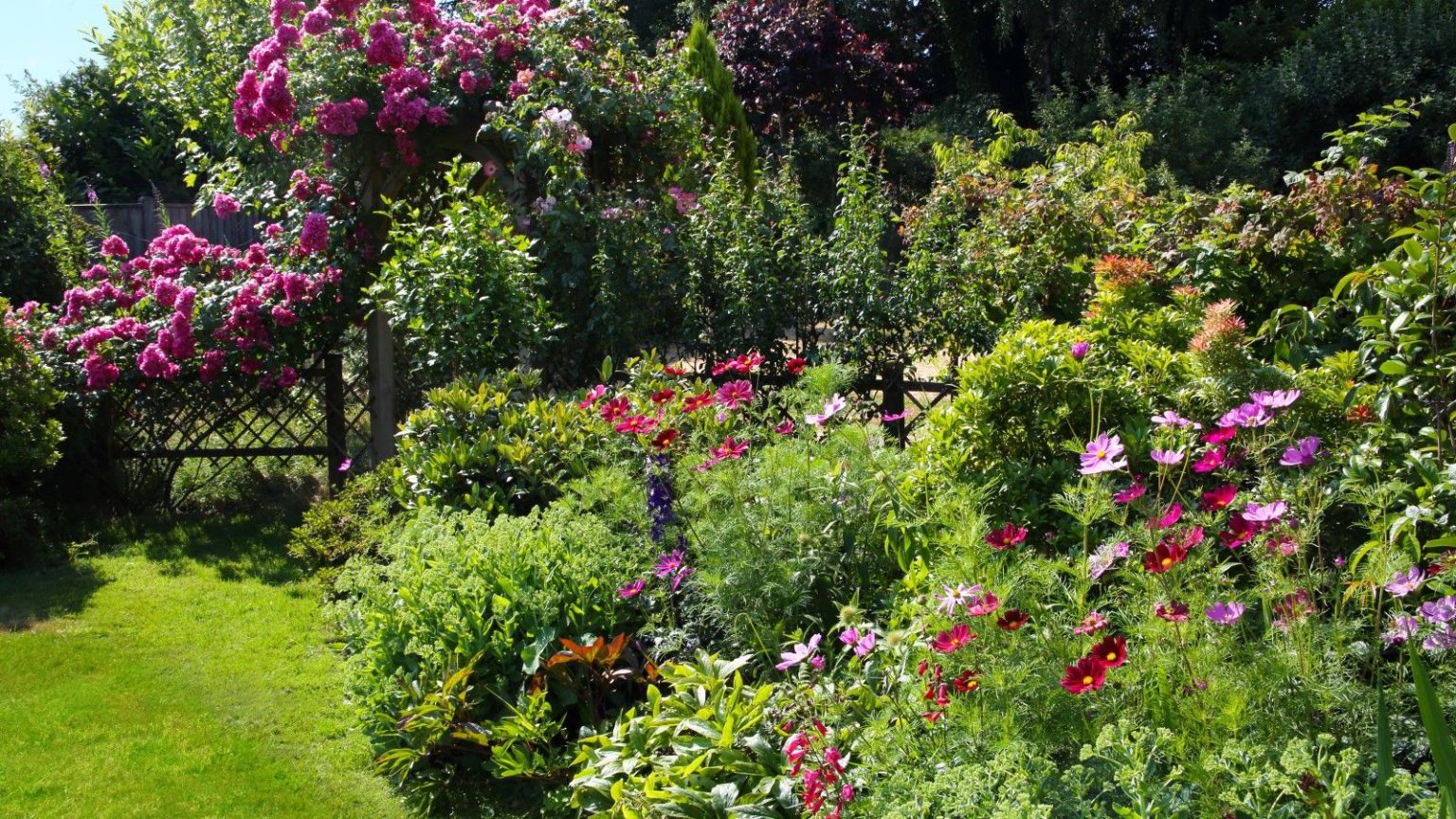 A garden in flower in summer