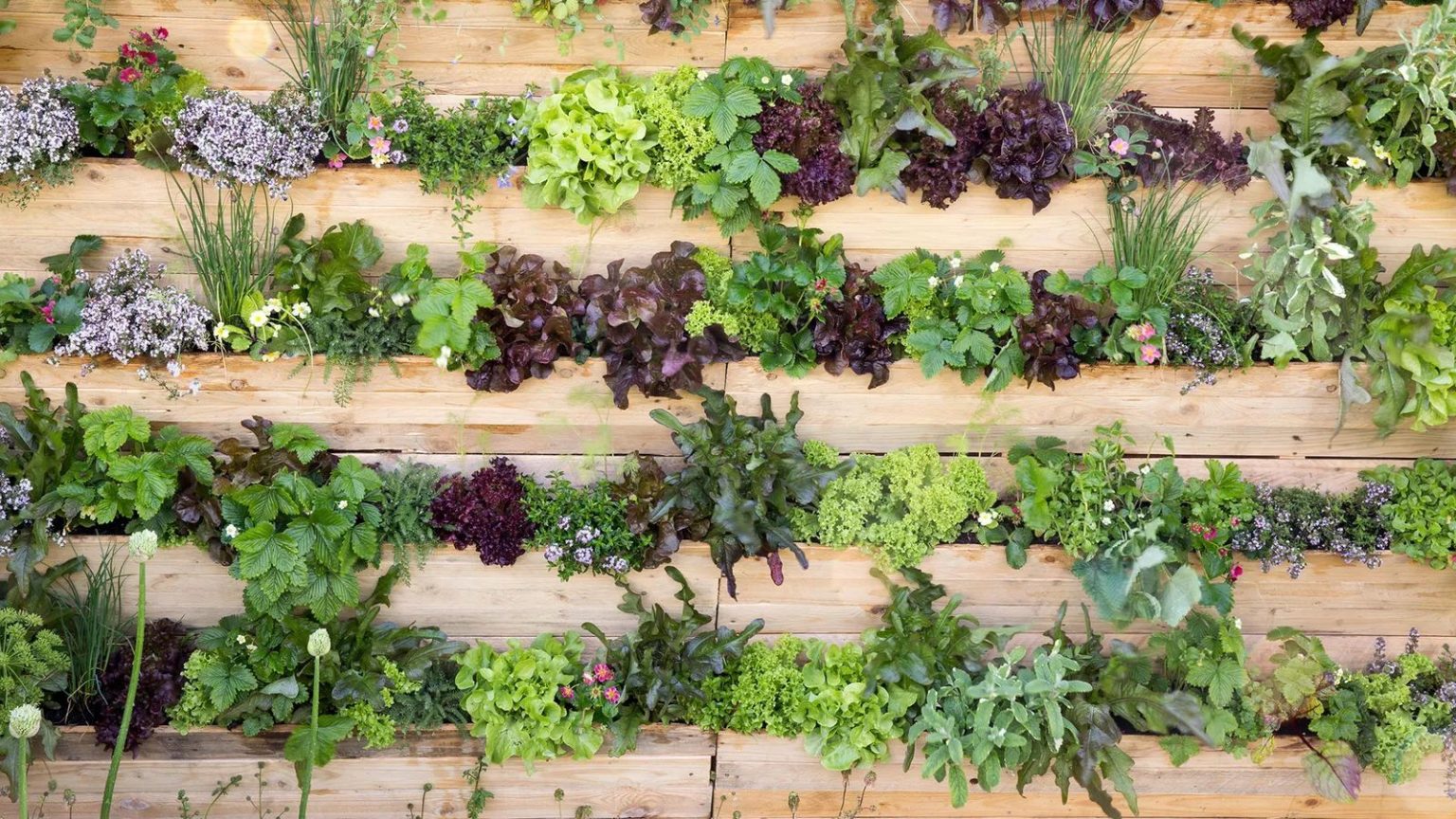 Wooden flower box display filled with greenery