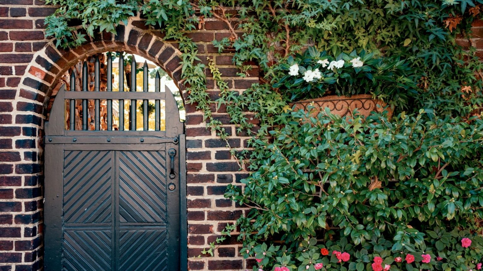 A black garden gate set against a brick wall covered with climbing plants and red roses