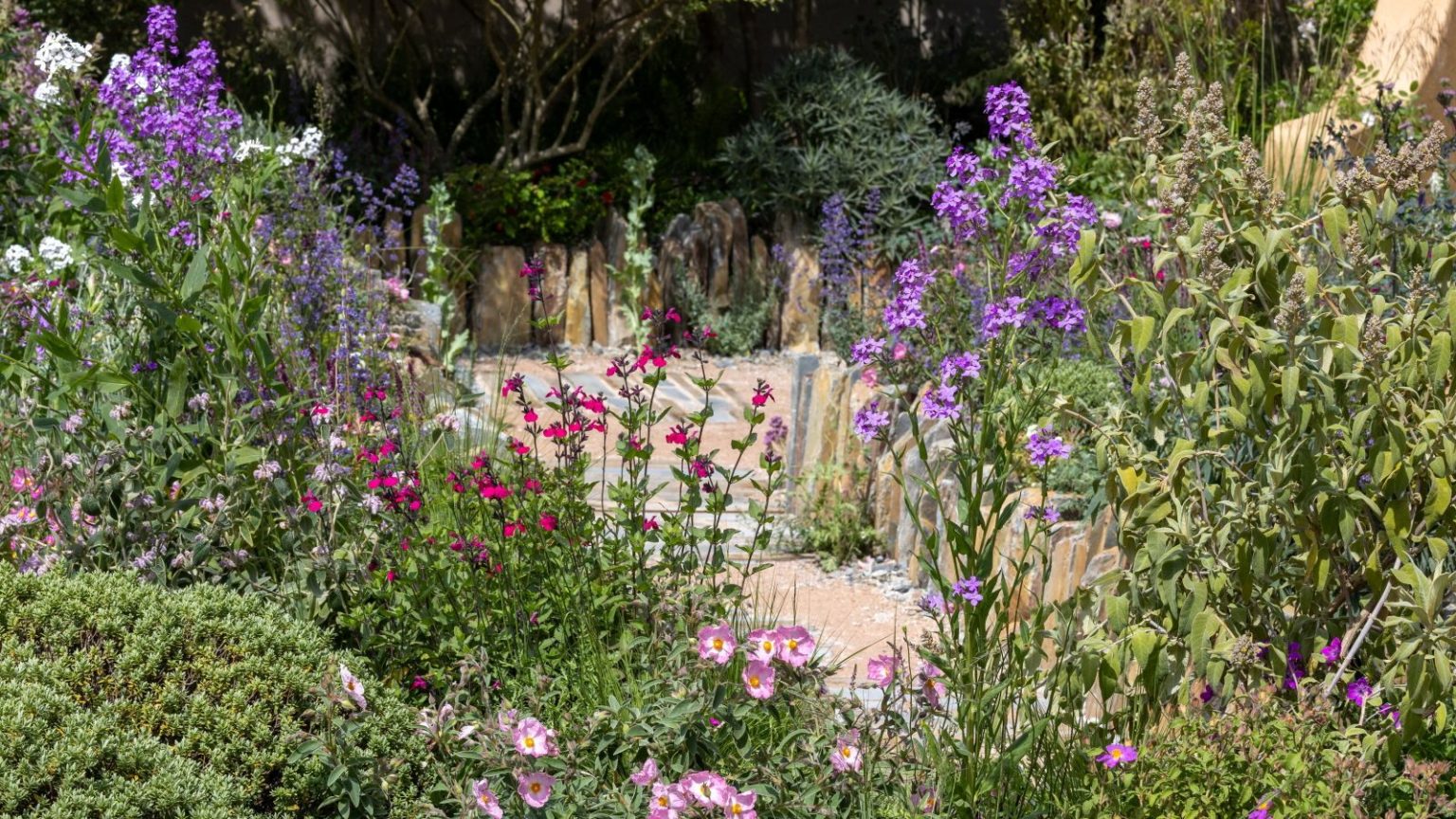 The Lady Garden Foundation &lsquo;Silent No More&rsquo; Garden at the RHS Chelsea Flower Show 2026