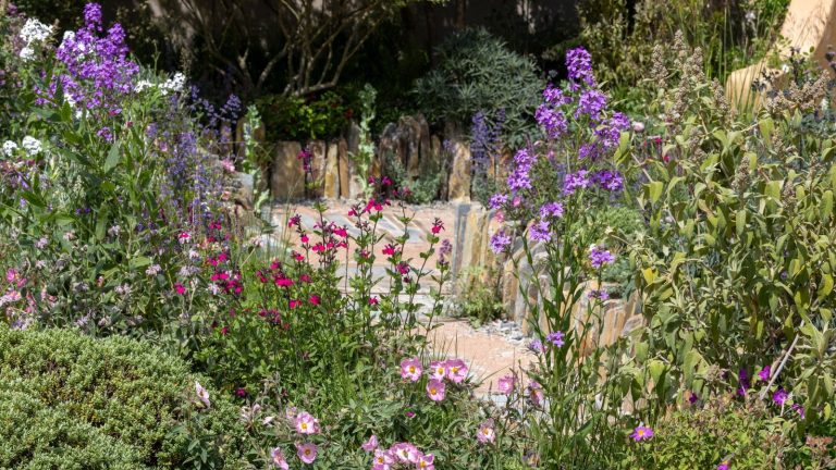 The Lady Garden Foundation &lsquo;Silent No More&rsquo; Garden at the RHS Chelsea Flower Show 2026