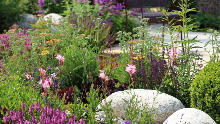 Mix height garden border