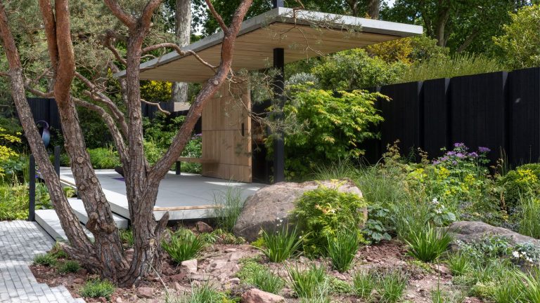 modern landscaping design with sparse planting, gravel and rocks, with a brick path, multi-stemmed tree and pavilion