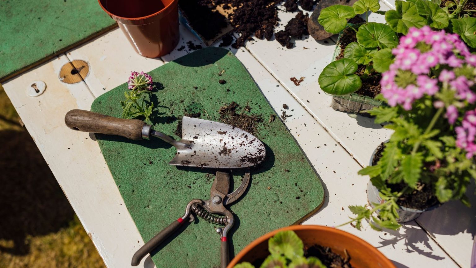 Cette truelle de poche est l’un des outils de jardinage les plus polyvalents que j’ai vu – et elle est en vente dès maintenant Trowel and pliers on green potting mat next to pink flowers