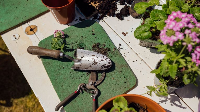 Trowel and pliers on green potting mat next to pink flowers