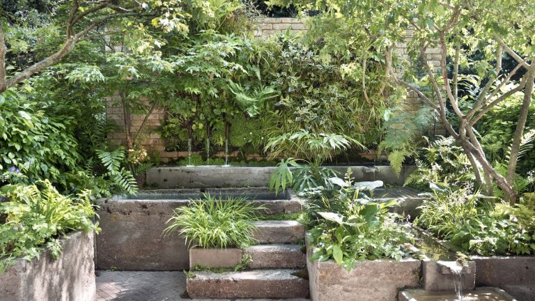 RHS Chelsea 2024 shady container garden