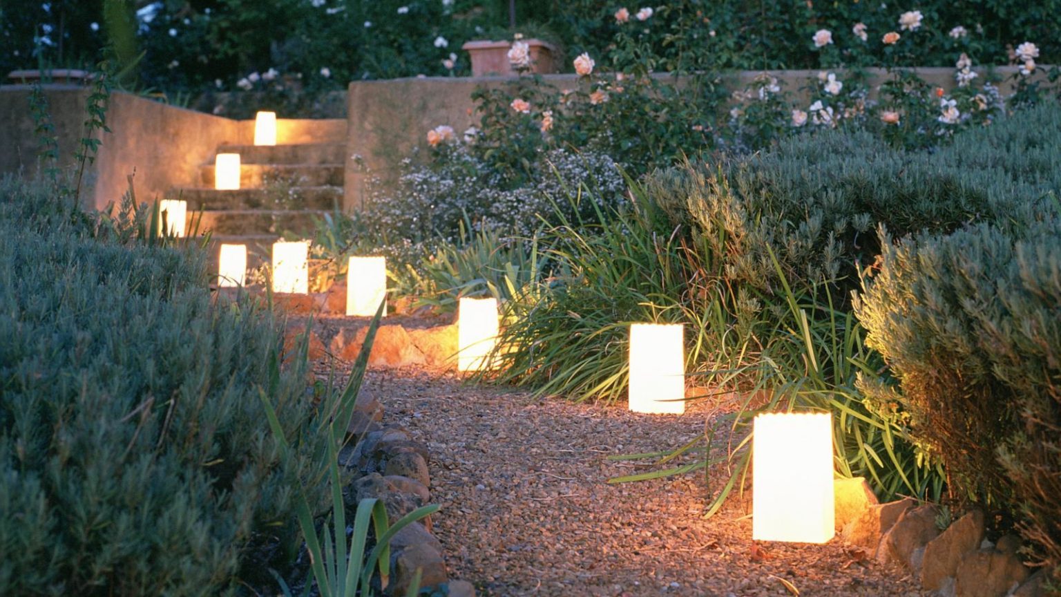 Les nouvelles lampes solaires à 10 $ de LIDL rendent les parterres de fleurs, les allées et les bords de terrasse beaucoup plus chers la nuit A garden path lit with lanterns