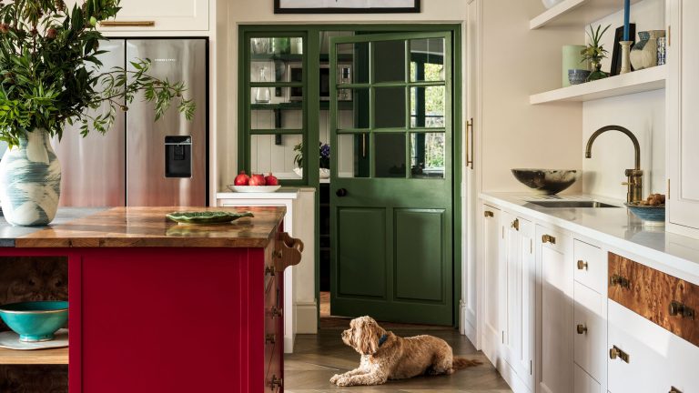A bright kitchen with white cabinets, a bold red island with a wooden top, and a green paned door where a small, fluffy brown dog lies on the floor looking toward a stainless steel fridge.