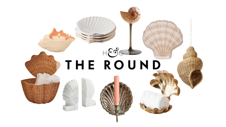 an assortment of home decor in shell motifs