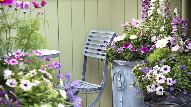 Garden seat surrounded by container plants, green backdrop