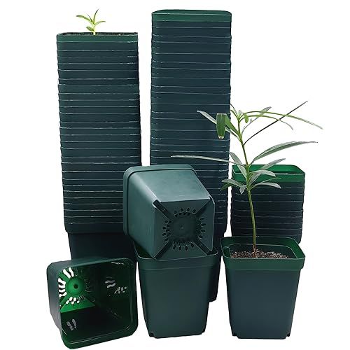 Rootrimmer Pot de semis carré pour pépinière 3,5 pouces 90 pièces, petit pot de pépinière en plastique épais et robuste, pot de germination pour la propagation des plantes et l'ensemencement (vert, 3,54 pouces, 90 pièces)
