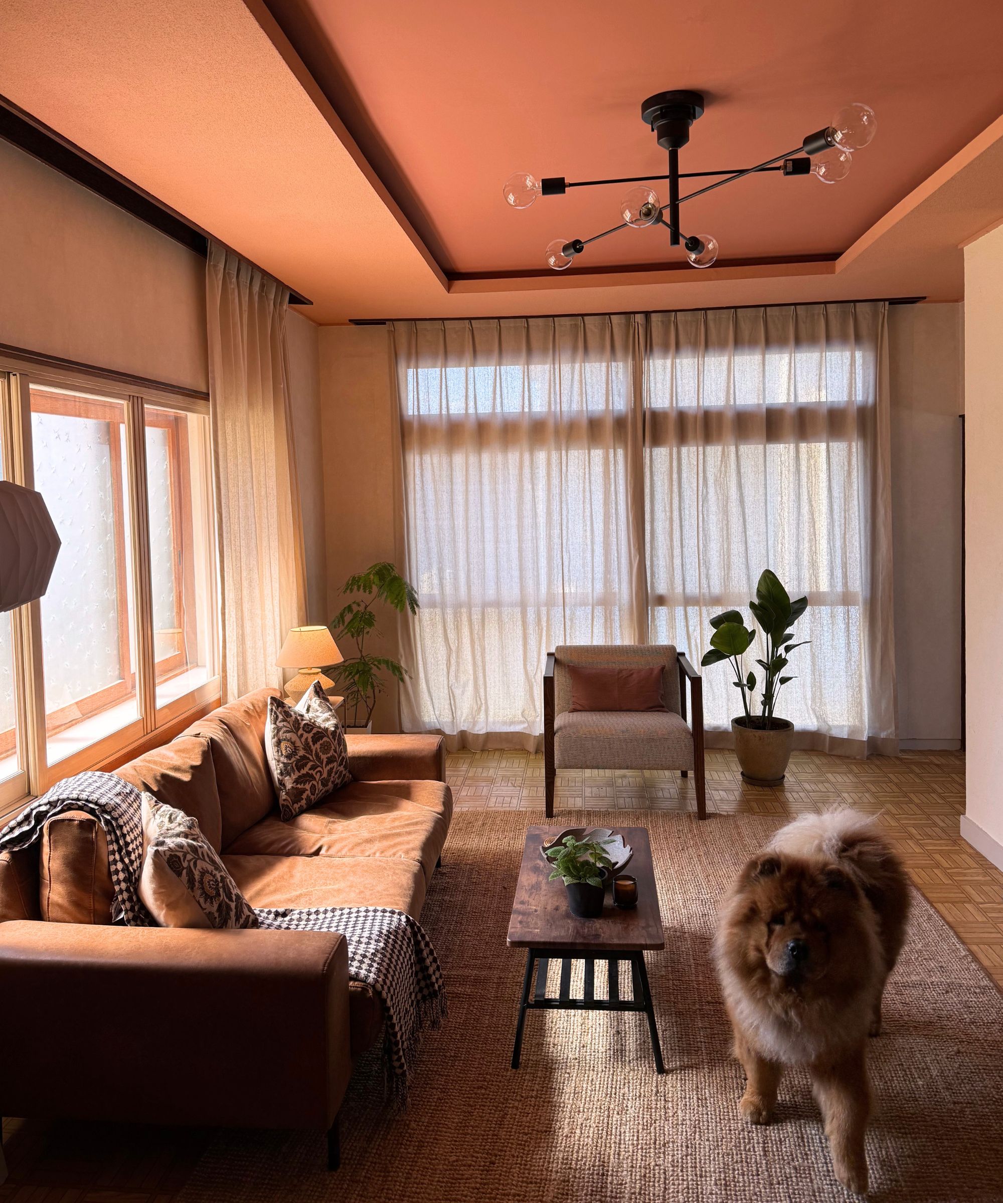 Salon avec Naperon de Farrow &amp; Plafond peint en boule, parquet au sol avec un tapis en jute, un canapé orange avec des coussins à imprimé léopard, un lustre angulaire et un gros chien moelleux.