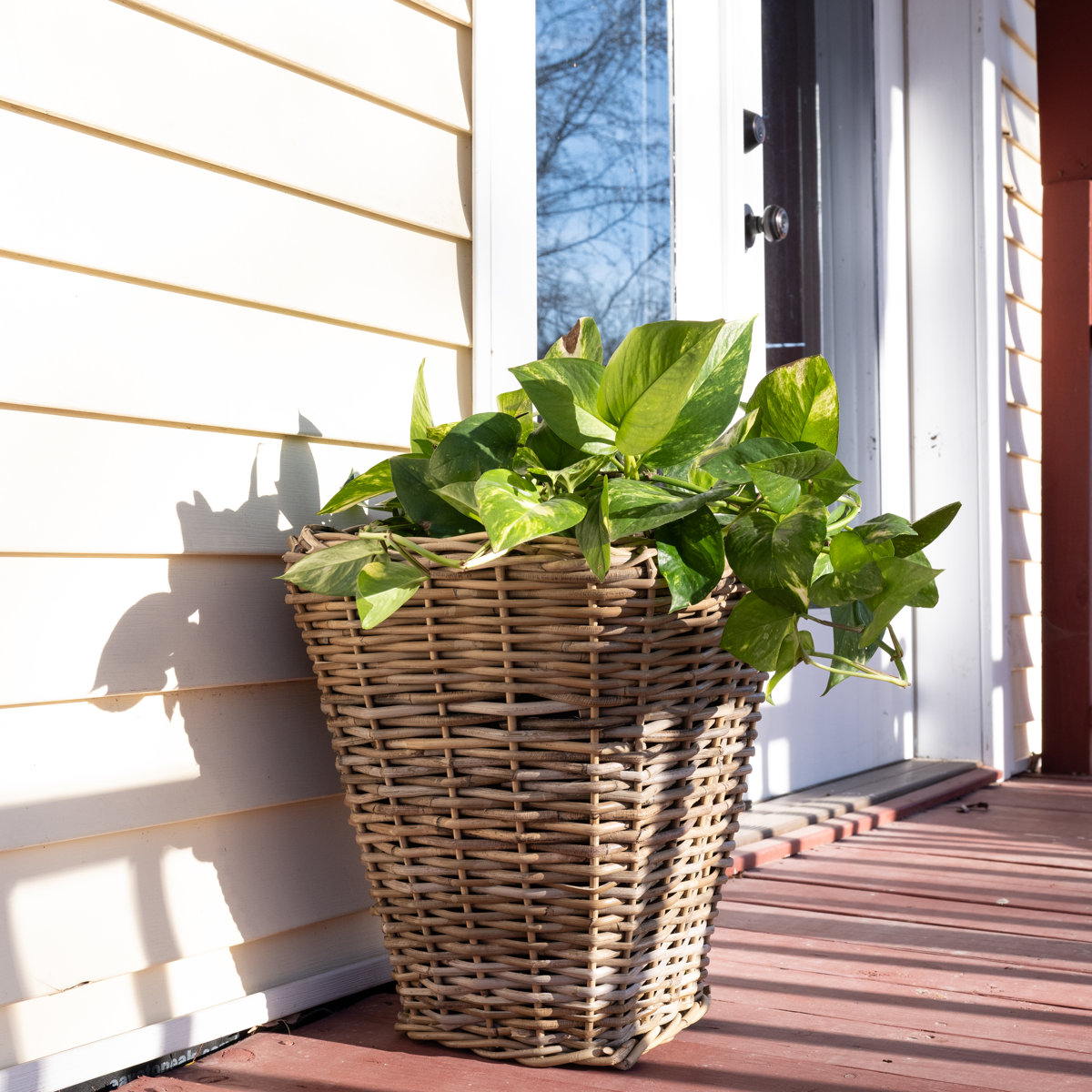 Jardinière conique carrée Saboga Home avec insert en plastique noir | Wayfair