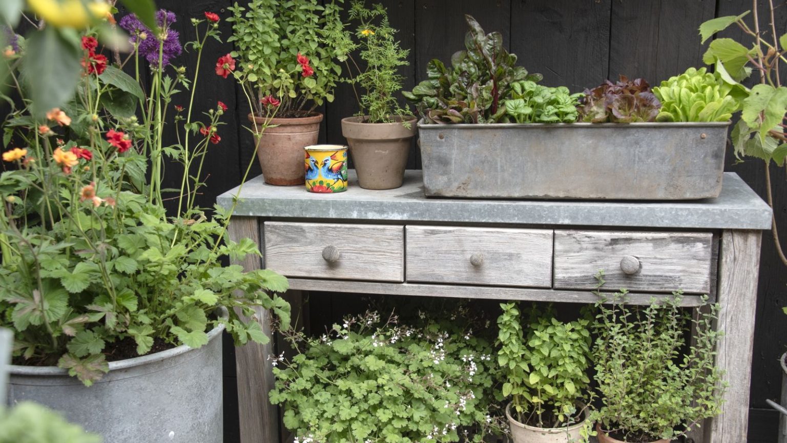 A balcony garden with a wooden table surrounded by vegetables, herbs, and flowers growing in pots