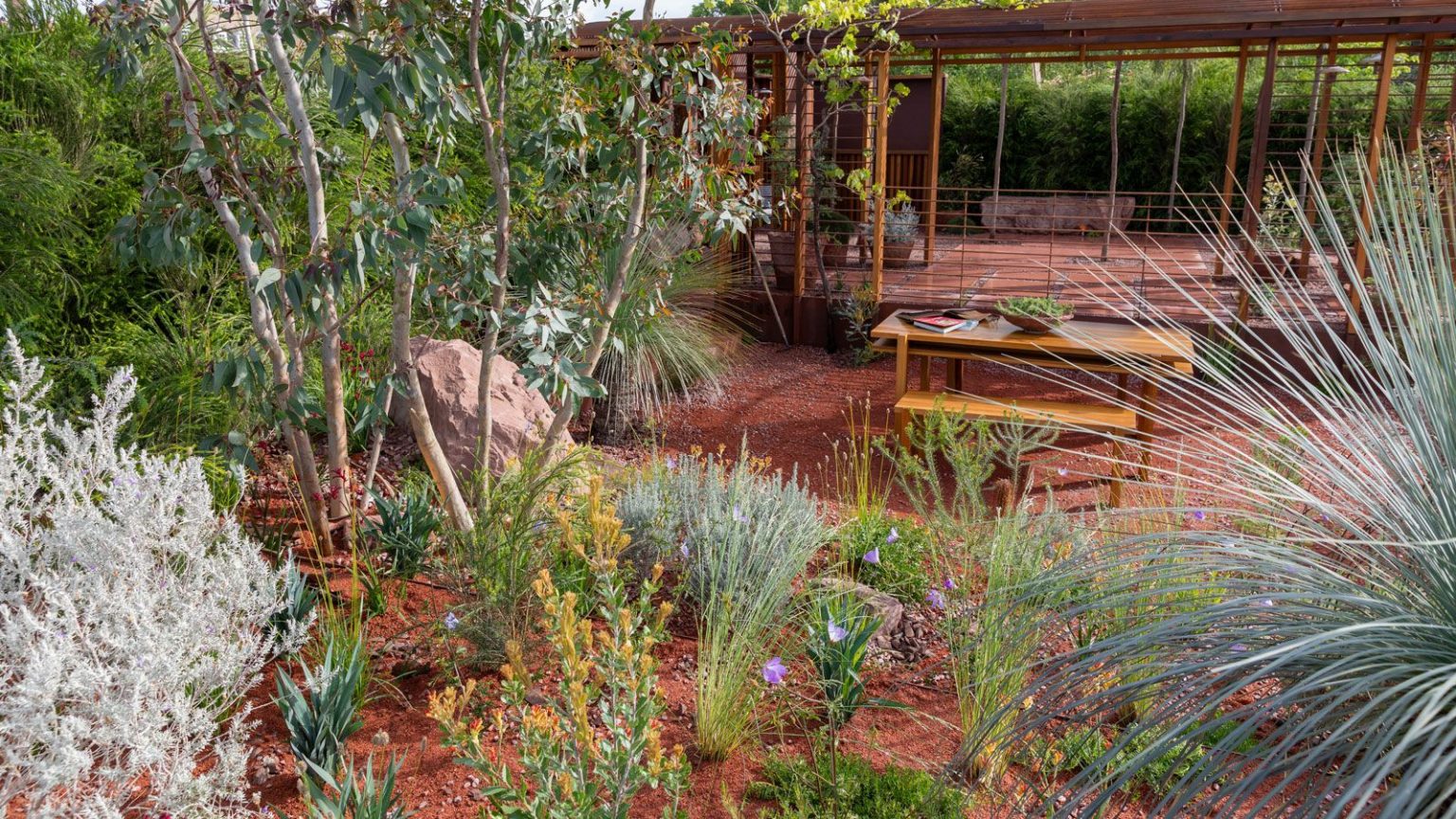 dry garden planting with native plants, grasses and small tree, garden furniture table and chairs set, and wooden pergola