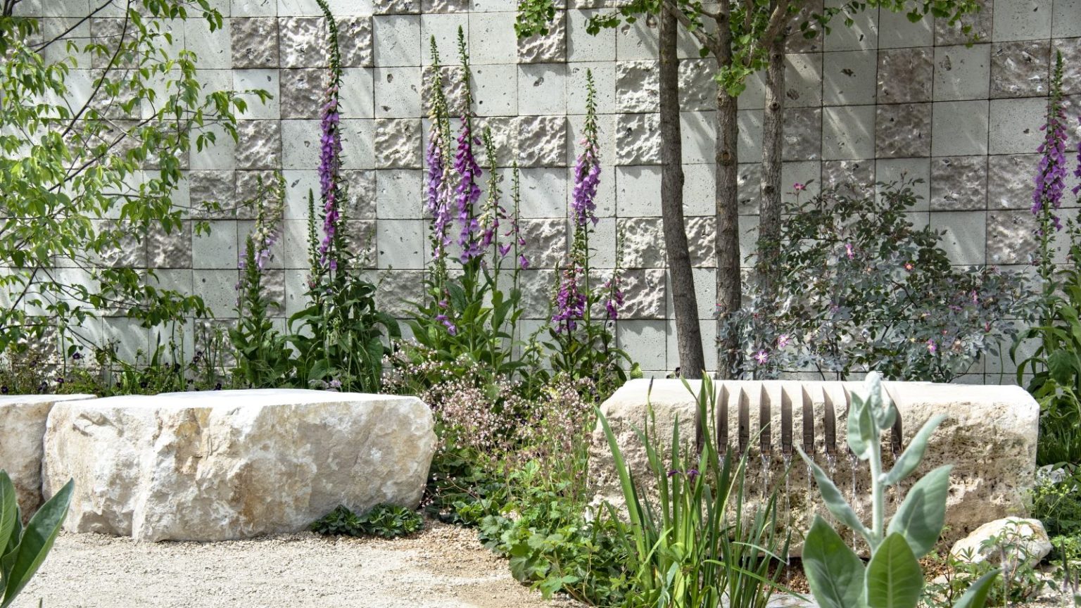 A show garden at the RHS Chelsea Flower Show 2026 with purple foxgloves growing behind large stones next to a gravel path