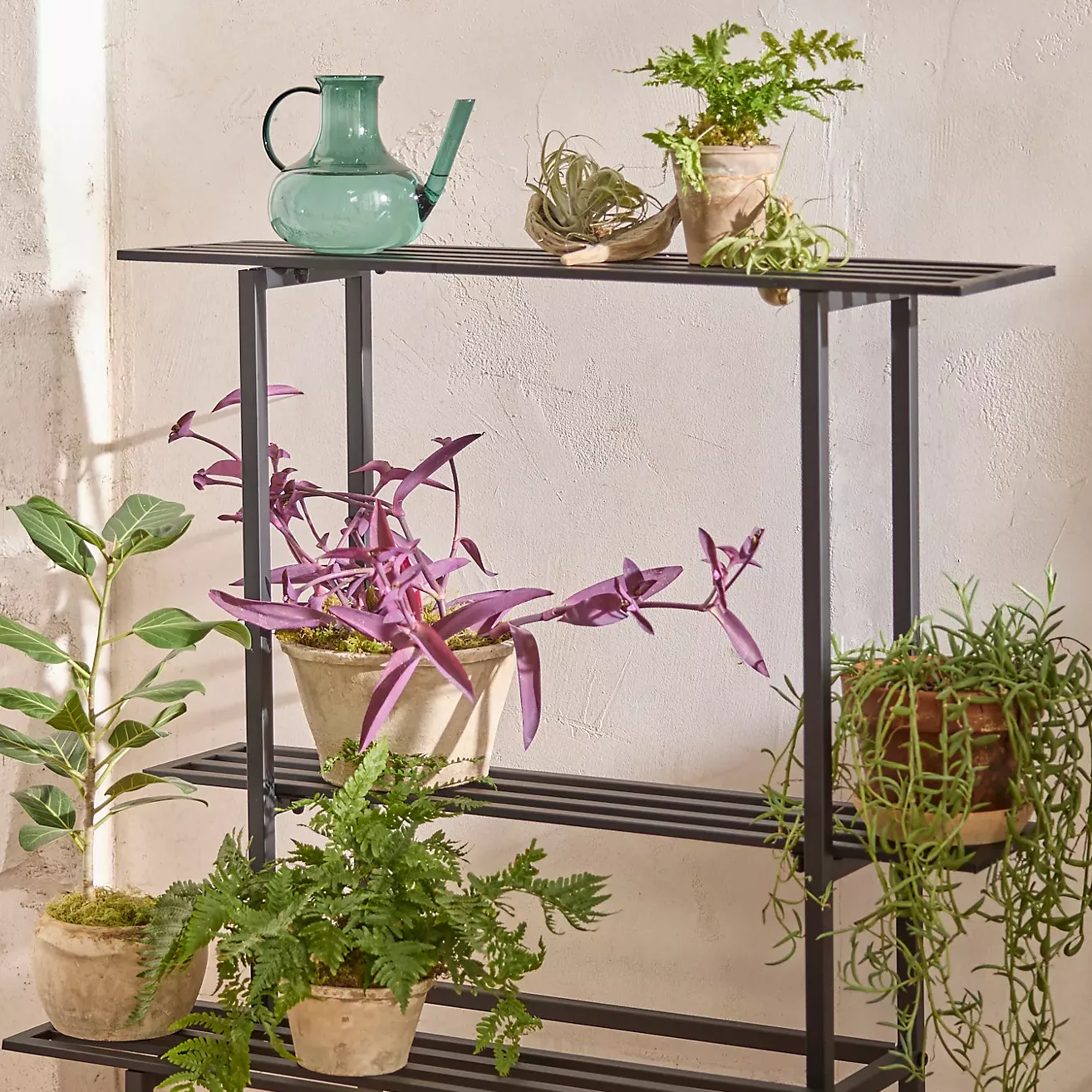 Support pour plantes en fer roulant à 3 niveaux