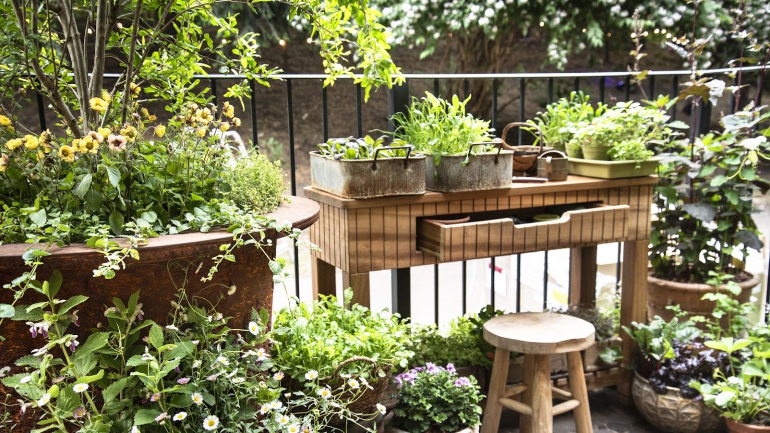 Le support pour plantes chic 2 en 1 d’IKEA est le moyen idéal pour zoner un balcon ou une petite cour – et il crée une intimité instantanée Vintage planters on a wooden desk next to large pots and planters on a city balcony