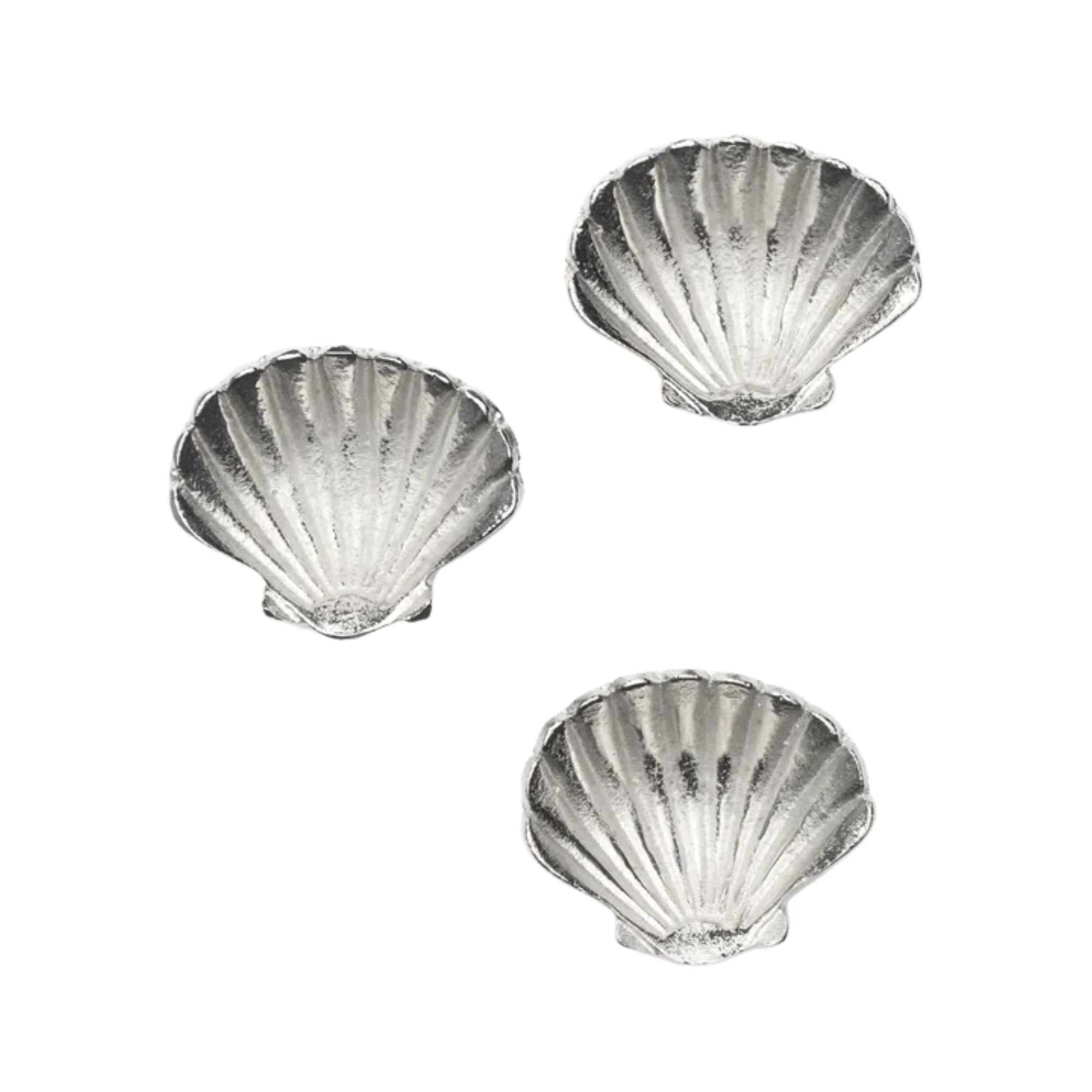 plats en forme de coquille