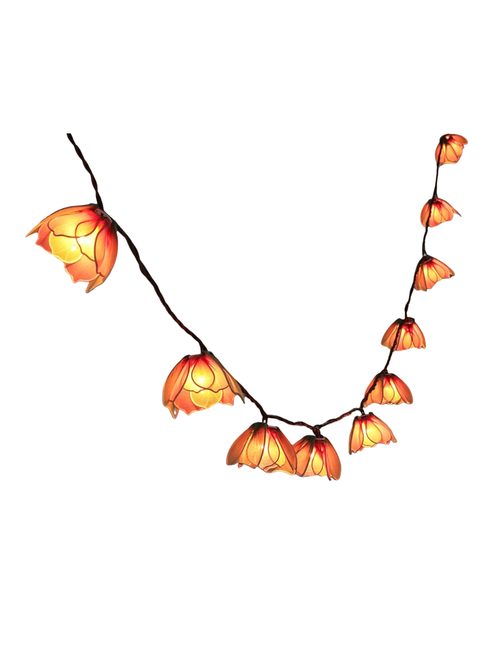 Guirlande lumineuse décorative à brancher avec 10 ampoules