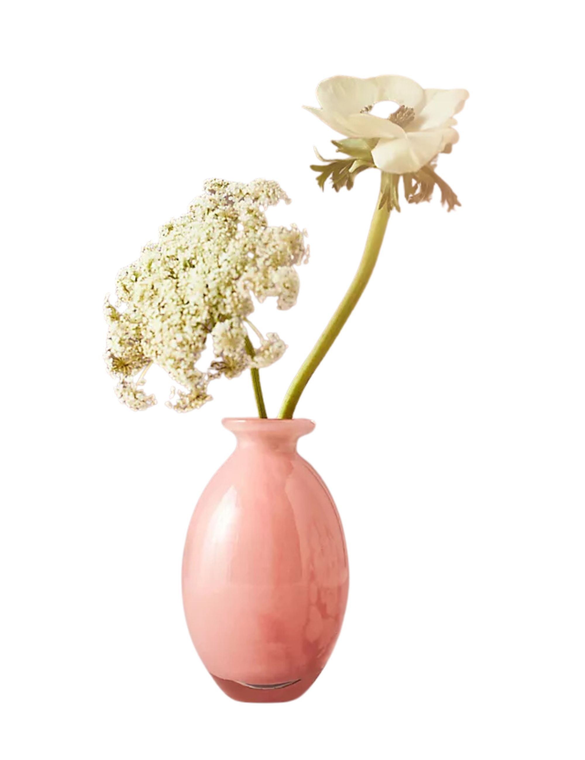 Anthropologie, Vase à bourgeons en verre Bristol