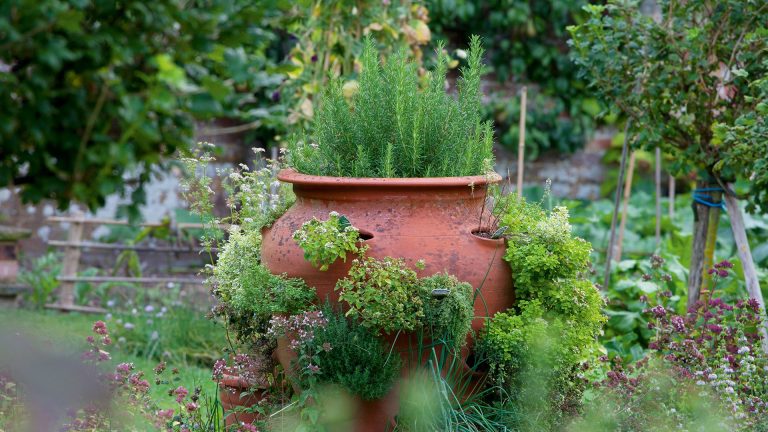 Un jardin à cocktails en conteneur est le secret des garnitures estivales fraîches – 3 combinaisons faciles à essayer dans les petits jardins et terrasses herb planter ideas
