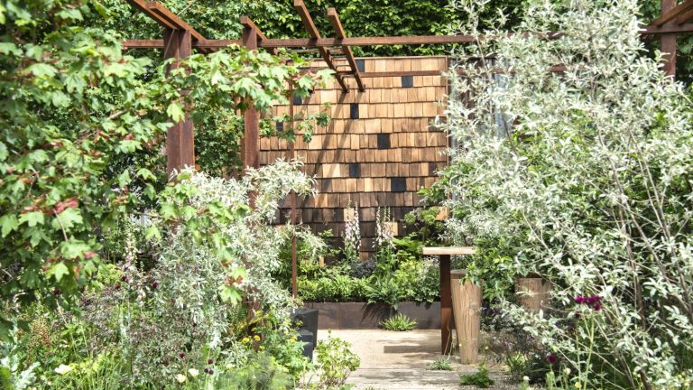 Réfléchissez à deux fois avant de tailler ces plantes en juin – vous pourriez sacrifier les fleurs de cette année et la croissance de l’année prochaine Shrubs and trees set against a wooden and metal backdrop at the RHS Chelsea Flower Show 2026